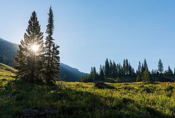 Darby Canyon - Sept 2022