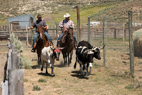 Dance Alliance tour through Wyoming Colorado and South Dakota. An enjoyable day at the "Homeplace" the ranch of the Pope family in Cokeville, Wyoming.