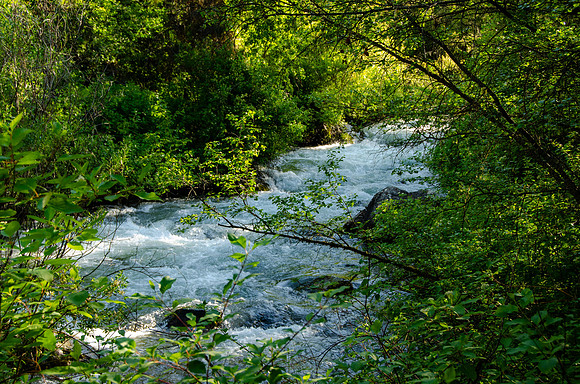 Photo Excursion: hike to Lower Palisades Lake.
