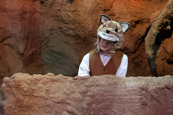 The Wind in the Willows - Feb 2020