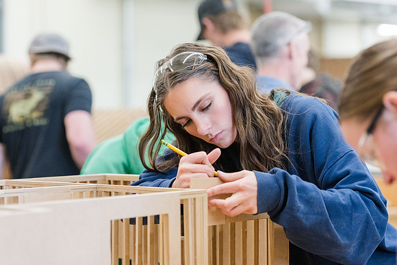 Design & Construction Management Framing - Mar 2025