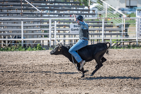 SpringFest Rodeo - June 2025