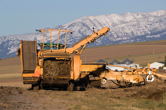 Idaho Agriculture