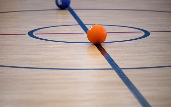 Dodgeball Tournament - Mar. 2025