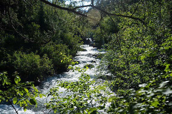 Hike - June 2024