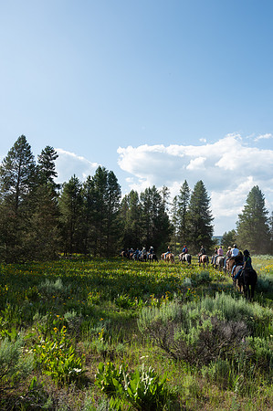 Horseback Riding - June 2025