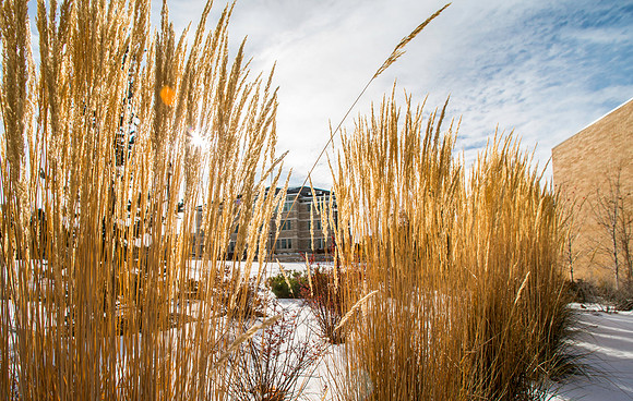 A look through autumn colors at the Jacob Spori Building.