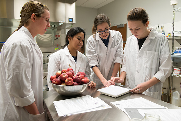 The Food Engineering Course in the Food Science Department.