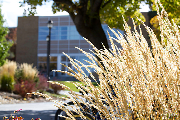 Beautiful autumn colors glisten in the afternoon sunlight.