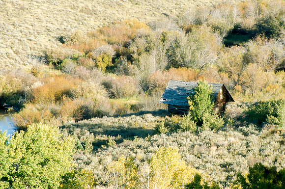 Scenery photographs of the Elk Ranch.