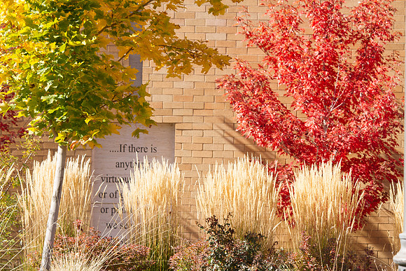 Taken on the east side of the Snow Building during the 2014 Fall Semester.