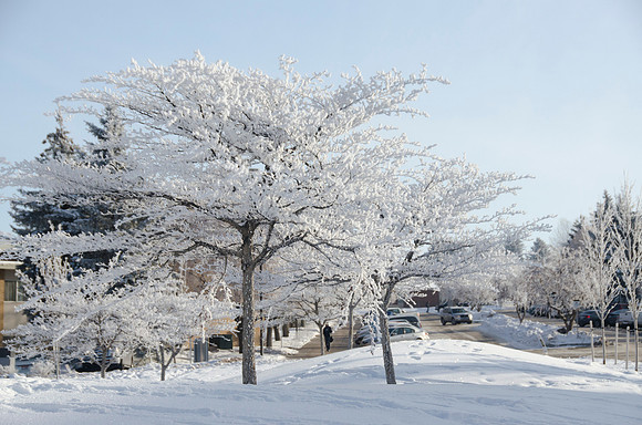 A frosty winter day at BYU-Idaho.