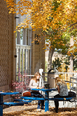 Students study outside the Romney Building during the Fall 2014 Semester.