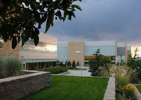 Campus after a light summer rain.
