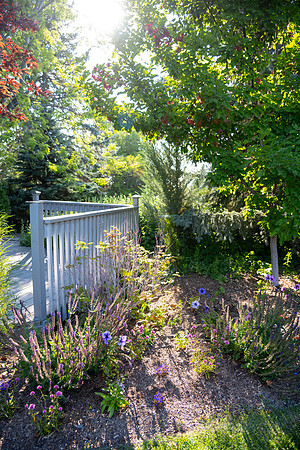 A scene of trees and flowers in the Ricks Gardens