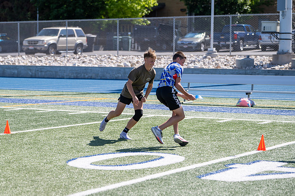 Agility Camp - June 2025