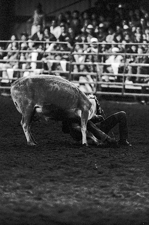 The main event was calf roping