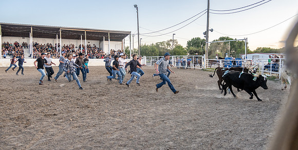 SpringFest Rodeo - June 2025