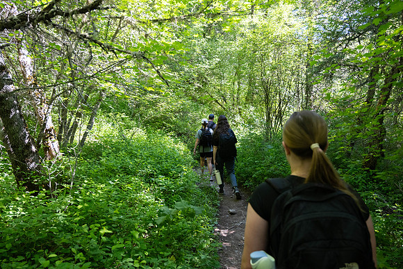 Hike - June 2024