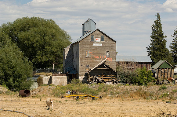 Agricultural Scenic Shots