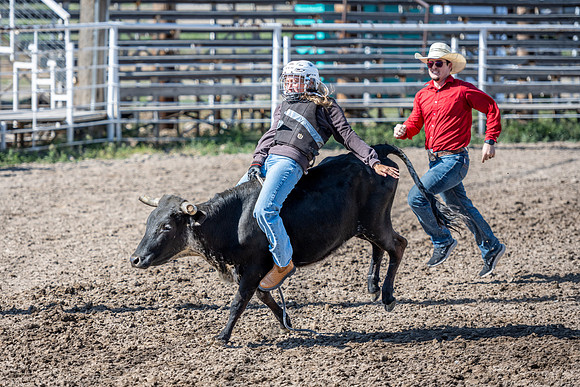 SpringFest Rodeo - June 2025