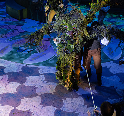 Cinderella Dress Rehearsal - June 2025