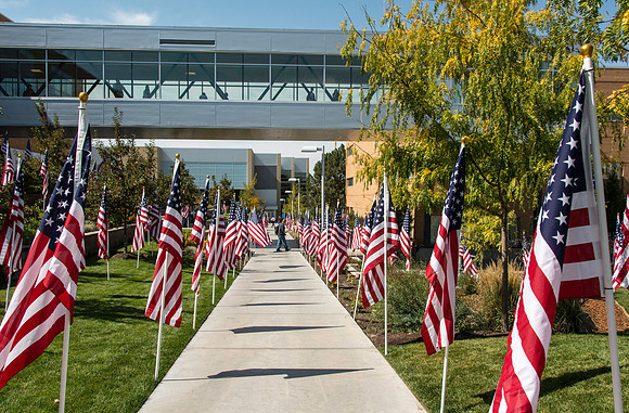 Flags on display in the Central Quad celebrate Constitution Day. "Remembering the brave men and women who gave so much for our Independance and the freedoms we now enjoy."