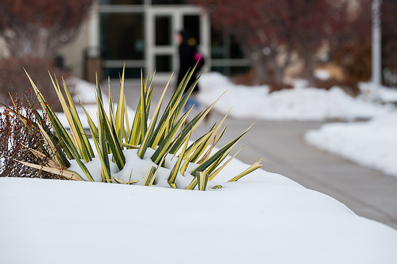 Campus Life - Feb. 2025