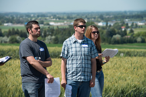 Ag students get the opportunity to show off their wheat crops during Ag Days.