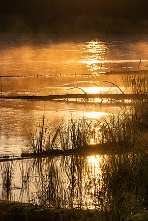 Photo excursion, hike along the river to Coffee Pot rapids.