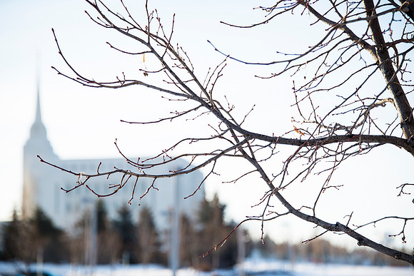 The Rexburg Temple on a Wintery Morning.