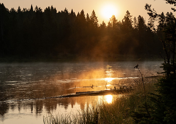 Photo excursion, hike along the river to Coffee Pot rapids.