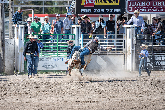 SpringFest Rodeo - June 2025