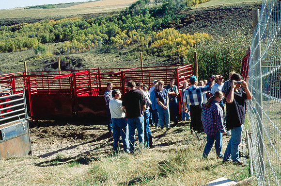 Students taking Animal Science class <br/>visit elk ranch.