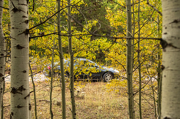Sunday drive up into the hill East of Rexburg. Quacken Aspens changing colors.