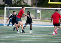 Rugby Championships.