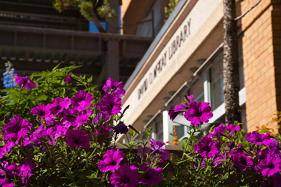 McKay flowers BYU-Idaho Campus