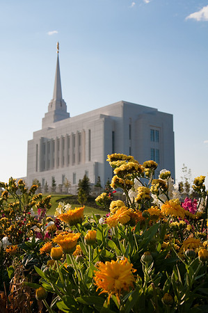 View of temple from campus