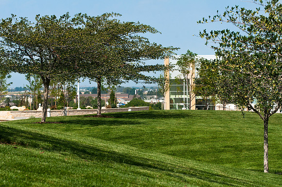 Looking through the trees of the Taylor Quad to the BYU-Idaho Center.