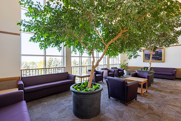 Interior of the Gordon B Hinckley Building.