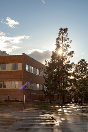 The Romney Building after a light rain towards the final weeks of the 2015 Winter Semester.