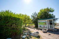 Apple Orchard - September 2025