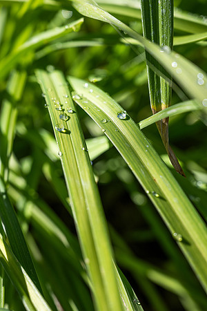 Plants - Sept. 2025