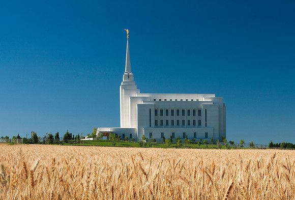 View of the Rexburg temple from the wheat field