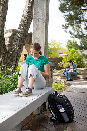 Students Studying on Campus - Sept 2025
