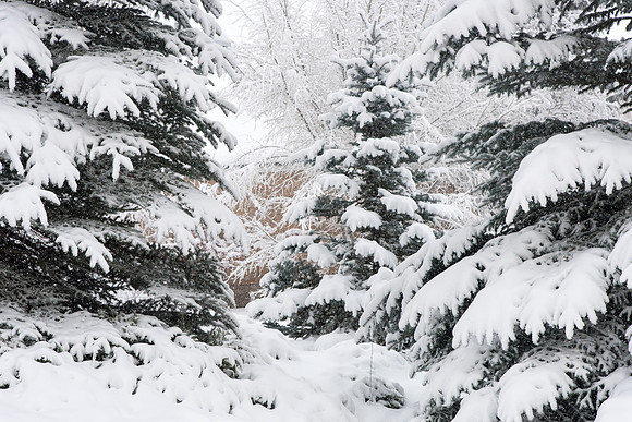 BYU-Idaho campus becomes a Winter Wonderland on graduation day.