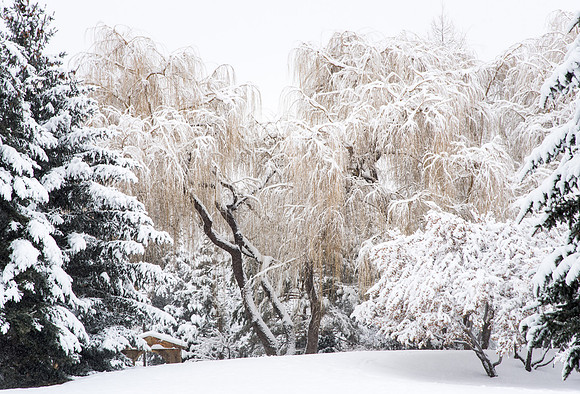 BYU-Idaho campus becomes a Winter Wonderland on graduation day.
