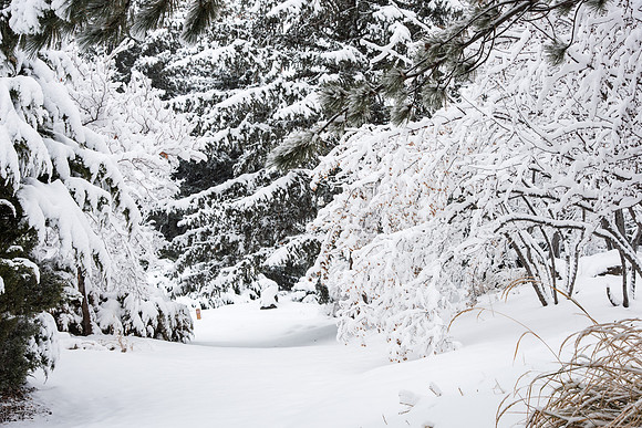BYU-Idaho campus becomes a Winter Wonderland on graduation day.