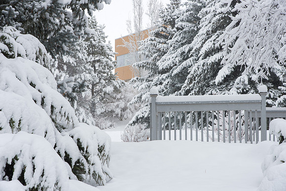 BYU-Idaho campus becomes a Winter Wonderland on graduation day.