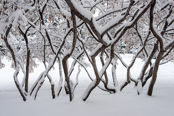 BYU-Idaho campus becomes a Winter Wonderland on graduation day.